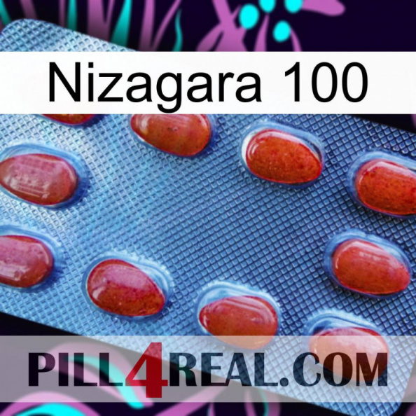 Nizagara 100 06.jpg